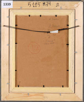 Соколов Николай Александрович. Тырново